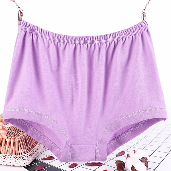 Plus size fat women briefs