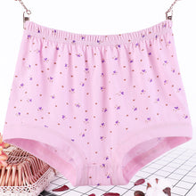 Plus size fat women briefs