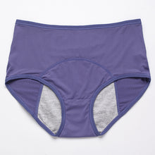 Period Leak Proof Panties Women Underwear Pants Nylon Briefs
