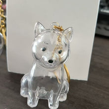 Dog Fur Storage Cute Pendant Keychain