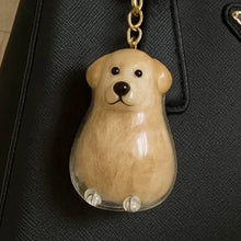 Transparent Case Fuzzy Ball Pendant Pet Hair Storage Keychain
