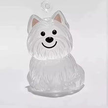 Transparent Case Fuzzy Ball Pendant Pet Hair Storage Keychain