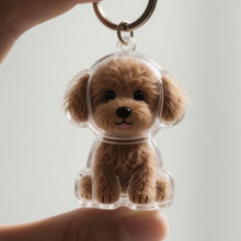 Transparent Case Fuzzy Ball Pendant Pet Hair Storage Keychain