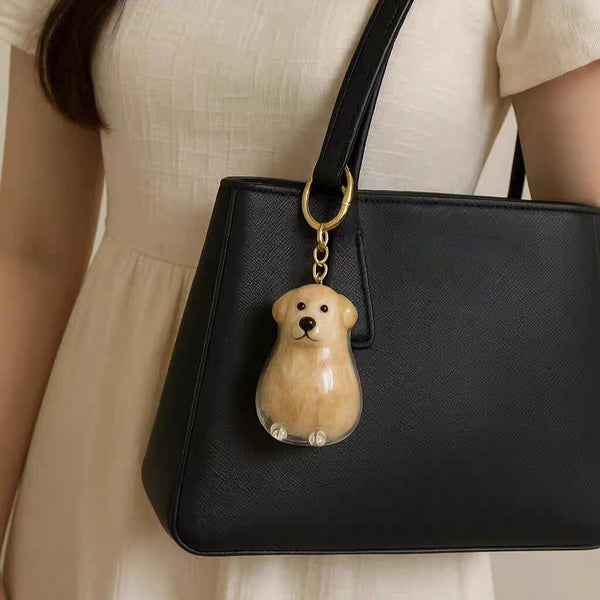 Transparent Case Fuzzy Ball Pendant Pet Hair Storage Keychain