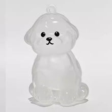 Transparent Case Fuzzy Ball Pendant Pet Hair Storage Keychain