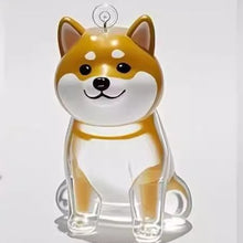 Transparent Case Fuzzy Ball Pendant Pet Hair Storage Keychain