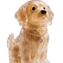 Dog Fur Storage Cute Pendant Keychain