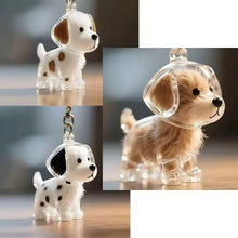 Transparent Case Fuzzy Ball Pendant Pet Hair Storage Keychain
