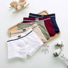 Children's Underwear ETX Five - pack Boxer - Bay Buy Shopping