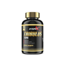Dynamik Gold Series Tribulus 750MG 90 Veg Capsules - Bay Buy Shopping